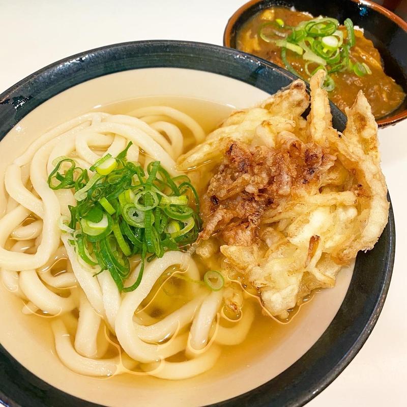 素うどんとミニカレーセット(星のうどん （ほしのうどん）)
