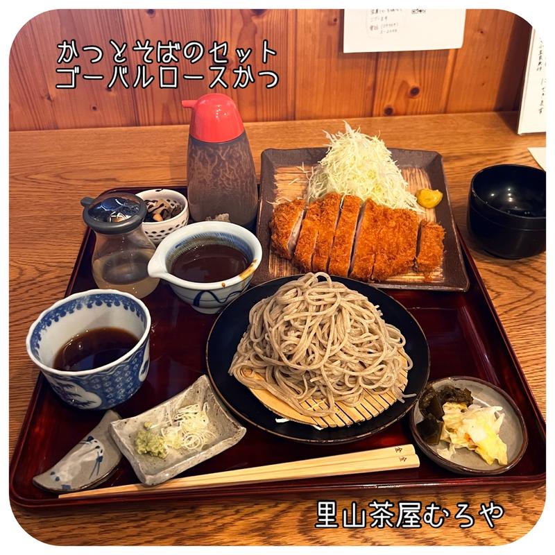かつとおそばのセット　ゴーバルロースかつ(里山茶屋 むろや)