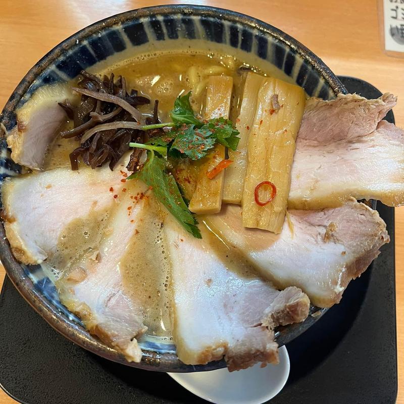 濃厚にぼしちゃーしゅー(長岡市 ラーメン にぼし中華 廣はし)