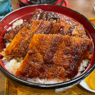 (鰻はし家)