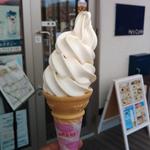 カルピジャーニソフトクリーム