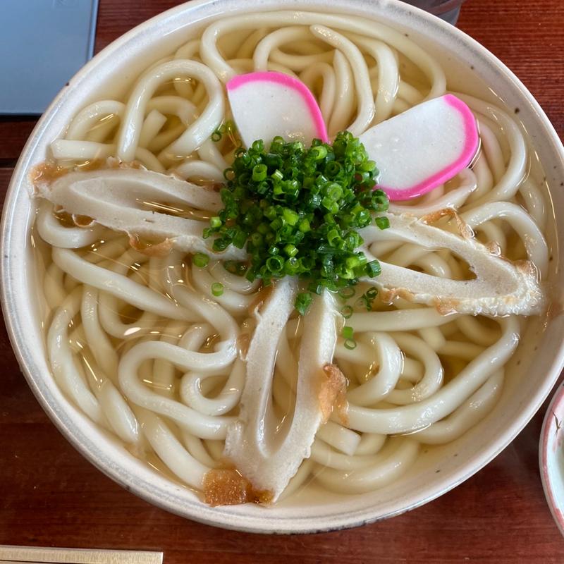 かけうどん(大)(讃源 )