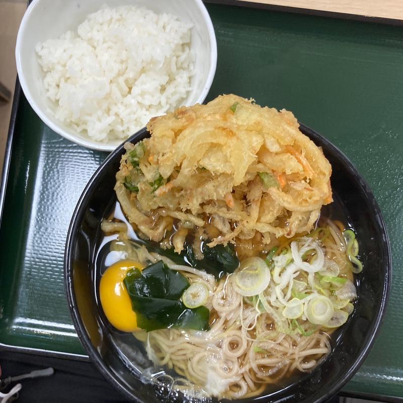 天玉そば(名代 箱根そば 永山店)