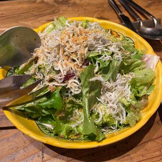 しらすと香草パン粉のグリーンサラダ(チロンボ・マリーナ 上野店)