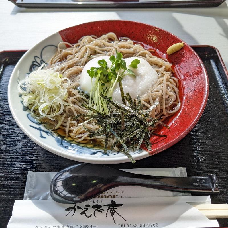 温玉とろろそば(かえで庵 （かえであん）)