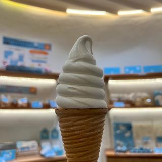 やぎミルクのソフトクリーム(プティ・シェーヴルHOKKAIDO〜やぎミルク専門店〜)