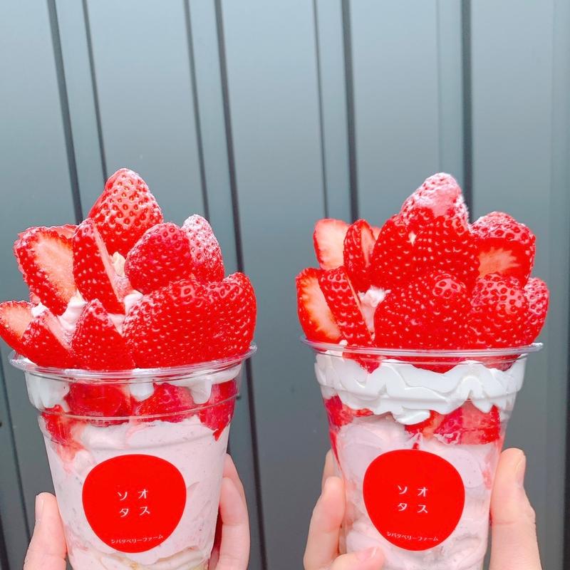 (ソオタス シバタベリーファーム)