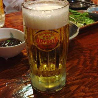 オリオンビール(壱番座 )