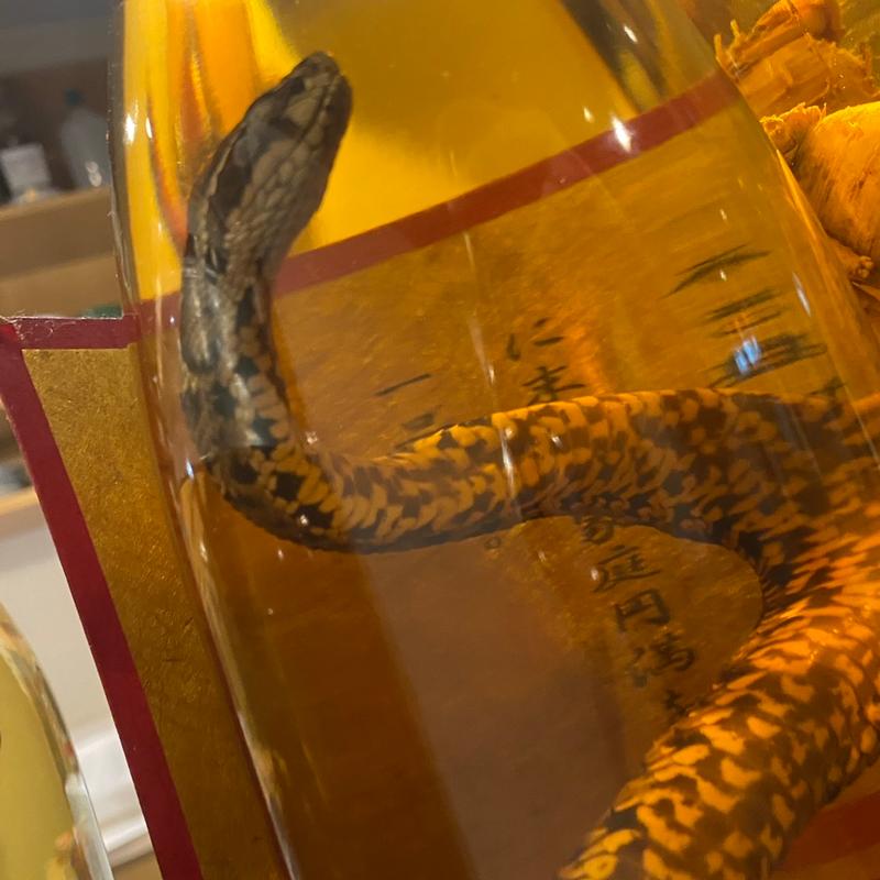 マムシ酒(大衆おっさんパラダイス モツの朝立ち)