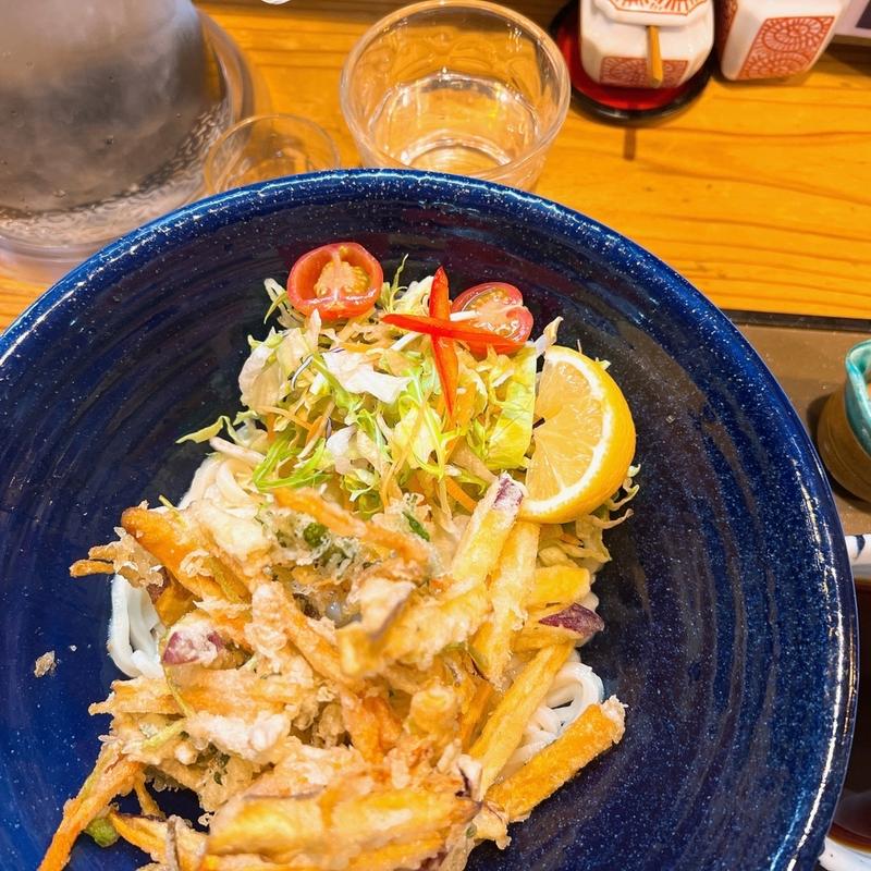 サラダのかき揚げぶっかけ(温)(うどん工房 悠々)