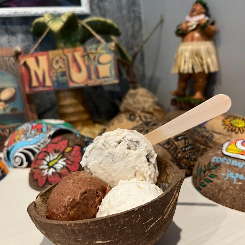 オリジナル(ココナッツグレン 麻布十番店 COCONUT GLEN`S Vegan Icecream from MAUI HAWAII)