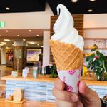 ミルクソフトクリーム