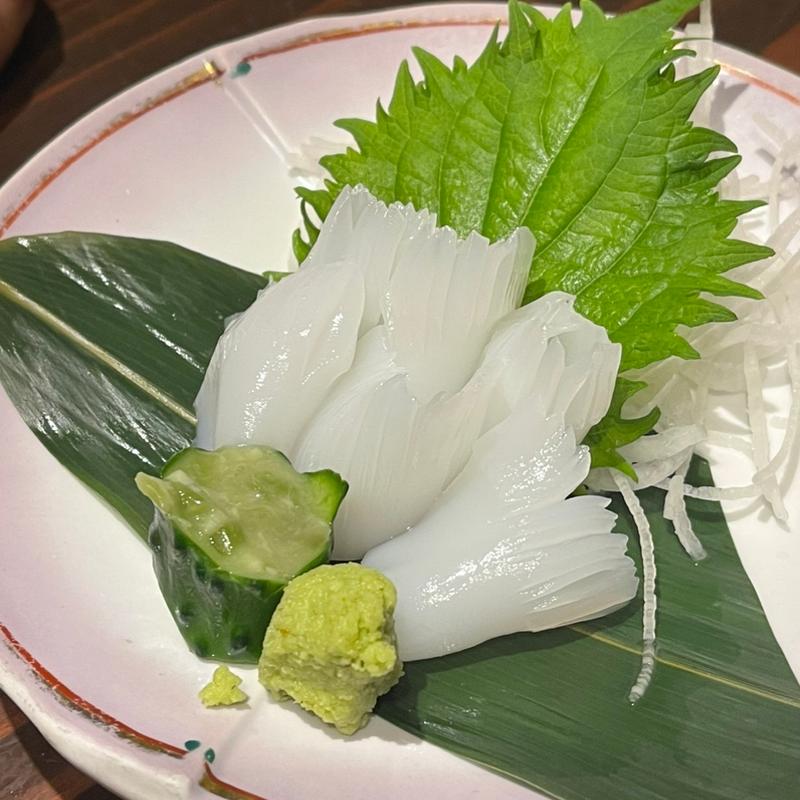 瀬戸内産アオリ烏賊刺し(海鮮釜居酒 花火 )
