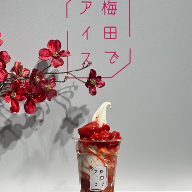 いちごづくし(梅田でアイス)