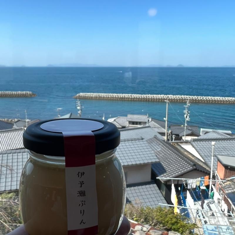 伊予灘ぷりん(伊予灘ものがたり （いよなだ）)