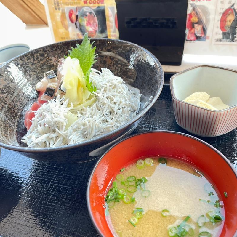 海鮮シラス丼(水門まつり （みなとまつり）)