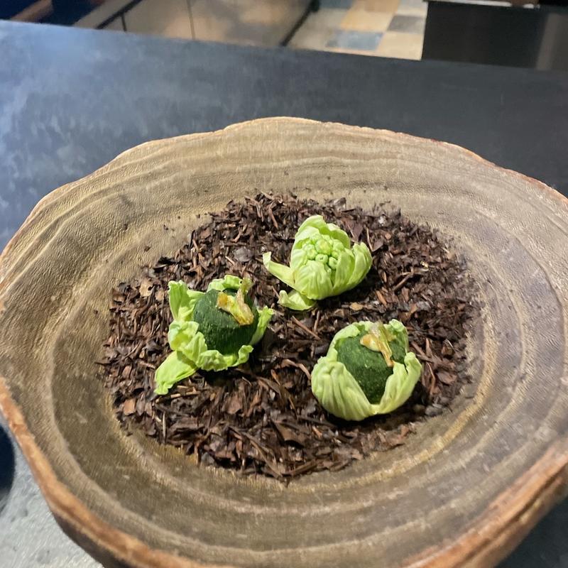 蕗の薹(フロリレージュ （Florilege）)