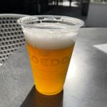 COEDOビール　毱花(Mサイズ)(COEDO BREWRY THE RESTAURANT)