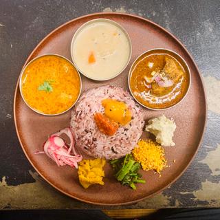 カレー3種(Curry Spice Gelateria KALPASI （カリースパイスジェラテリアカルパシ）)