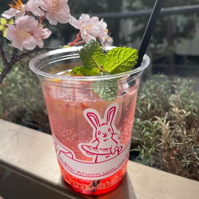 さくらソーダ( TOLO COFFE&BAKERY(トロ コーヒーアンドベーカリー))