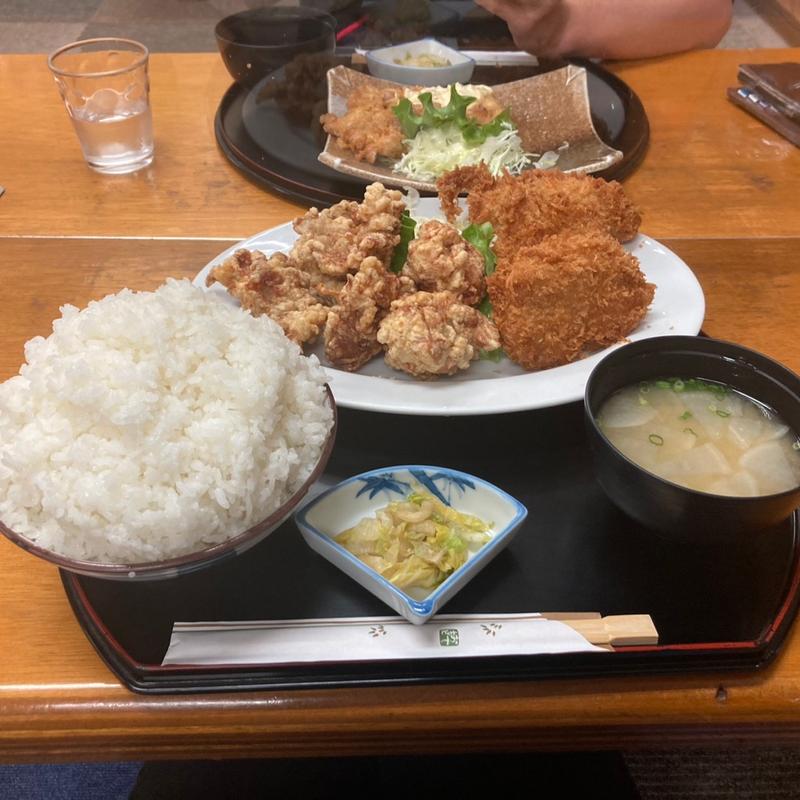 唐揚げとヒレカツ定食(いなか家定食の店 )