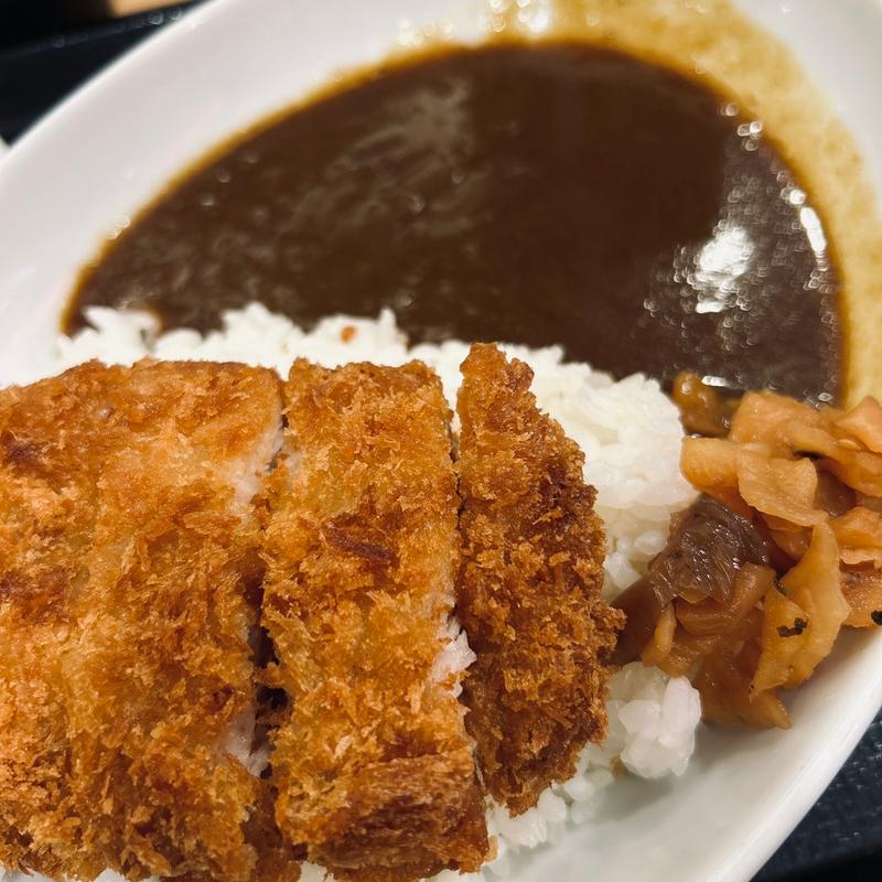 和風カツカレー(なか卯 梅田東店 )