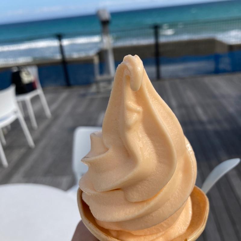 びわソフトクリーム(シー ガル （SEA GULL）)