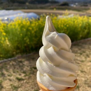 須藤牧場のソフトクリーム(Café＆Meal_MUJIみんなみの里)