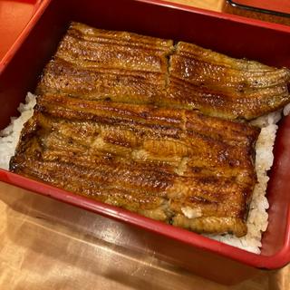 (小柳)
