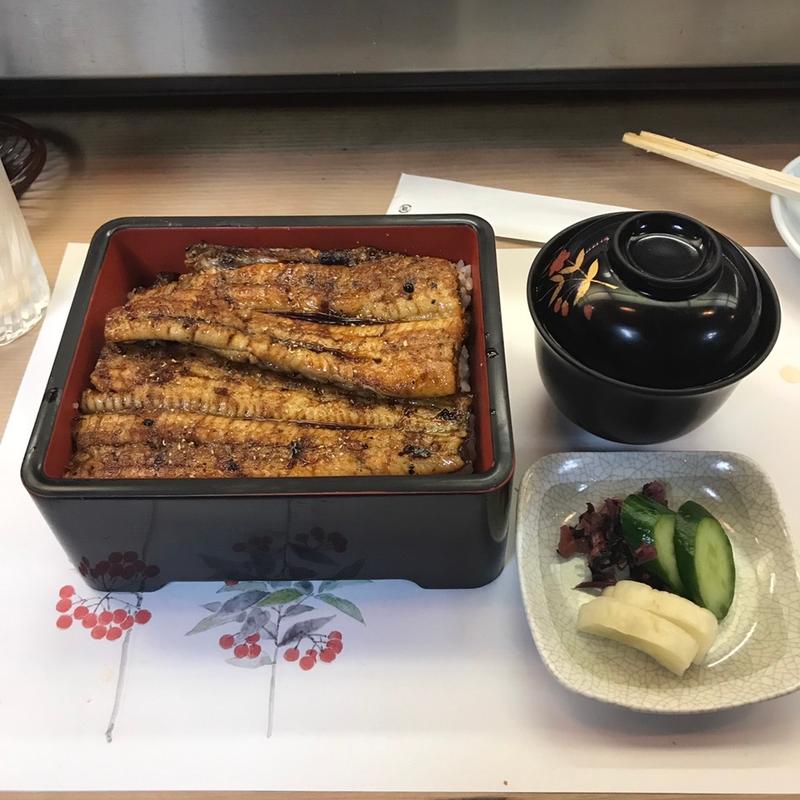 おまかせコース(周)