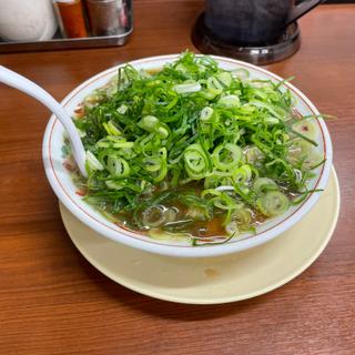 名代特製ラーメン(並)(本家 第一旭 たかばし)