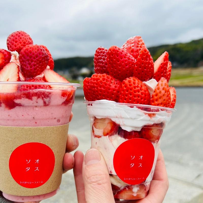 ミニモブレ（テイクアウト）(ソオタス シバタベリーファーム)