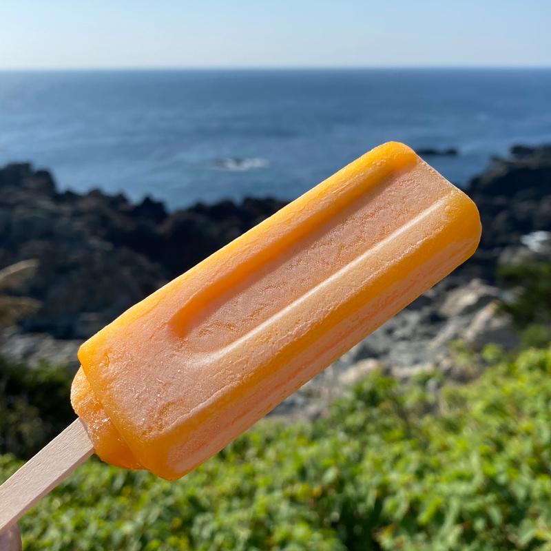 みかんアイスバー(早和果樹園本社店)