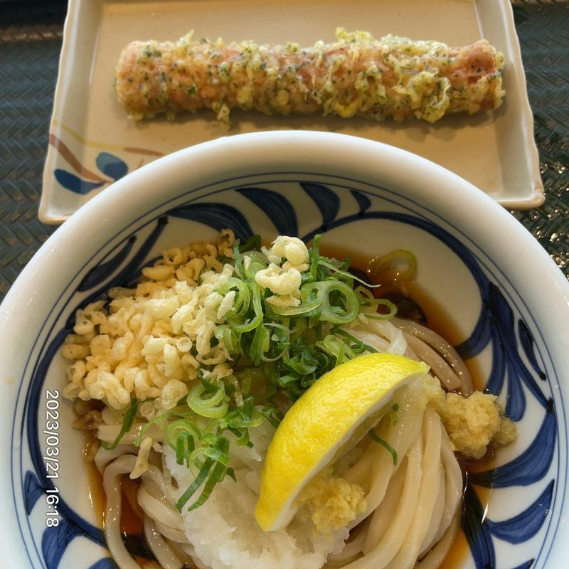 おろしぶっかけうどん+ちくわ天(うまげな ららぽーと湘南平塚店)