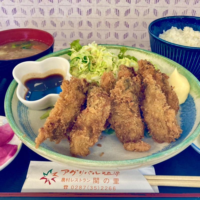 デカ盛りカキフライ定食(農村レストラン　関の里 )