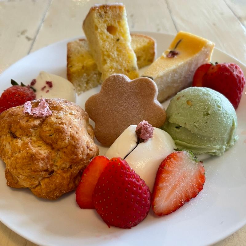 お花見プレート(Cafe Shibaken)