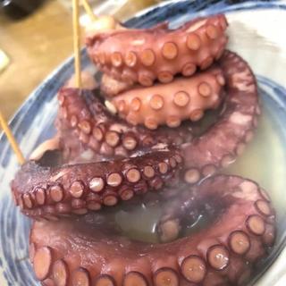 たこ(関東煮 きくや)