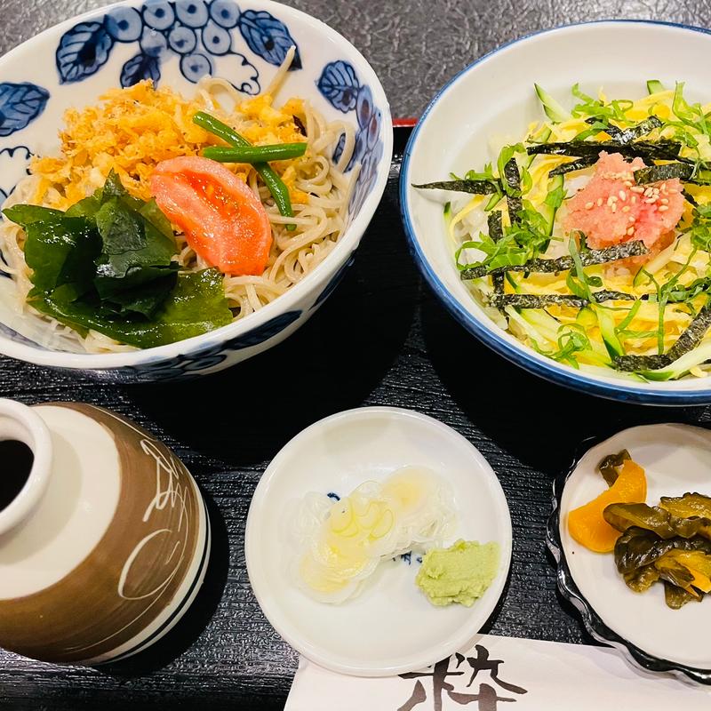 冷やしたぬきそばセット(つるや)