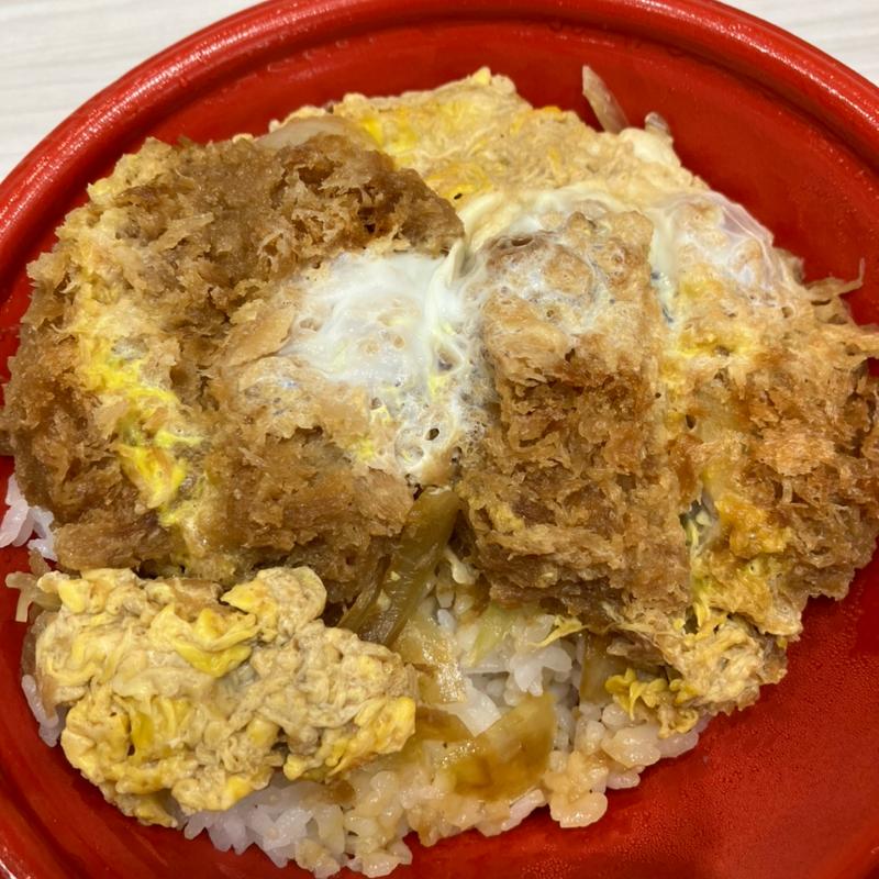 ヒレカツ丼(さっぽろ地下街（オーロラタウン）)