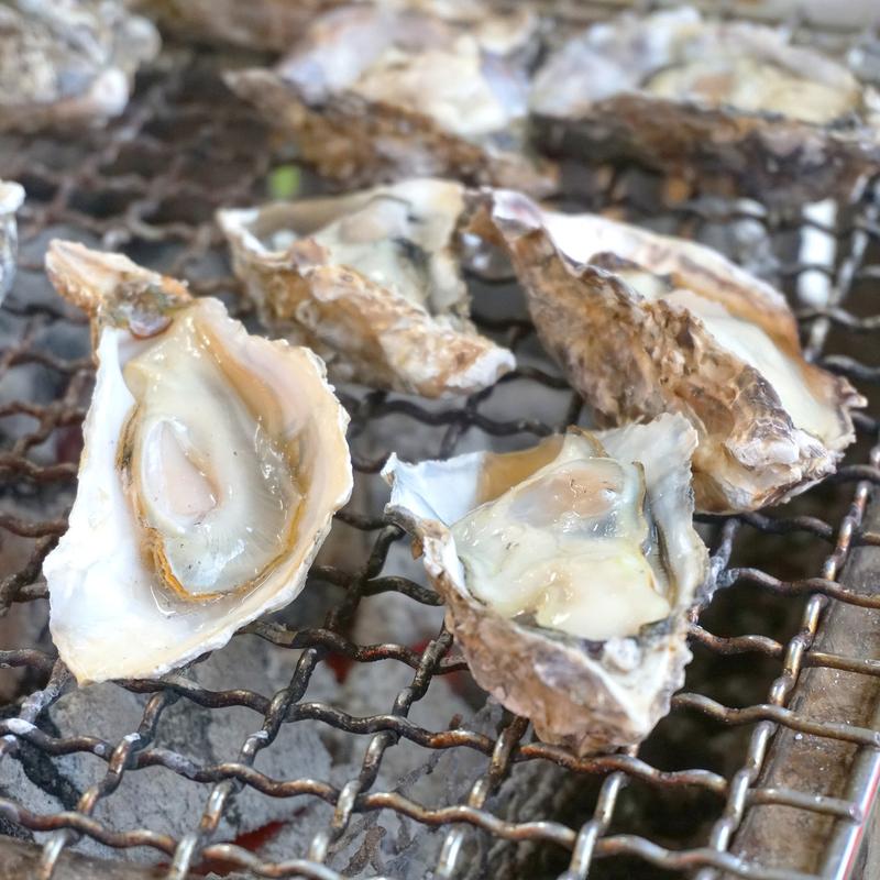 牡蠣(カキハウス マルハチ)