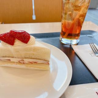 (きのとや 大通公園店)