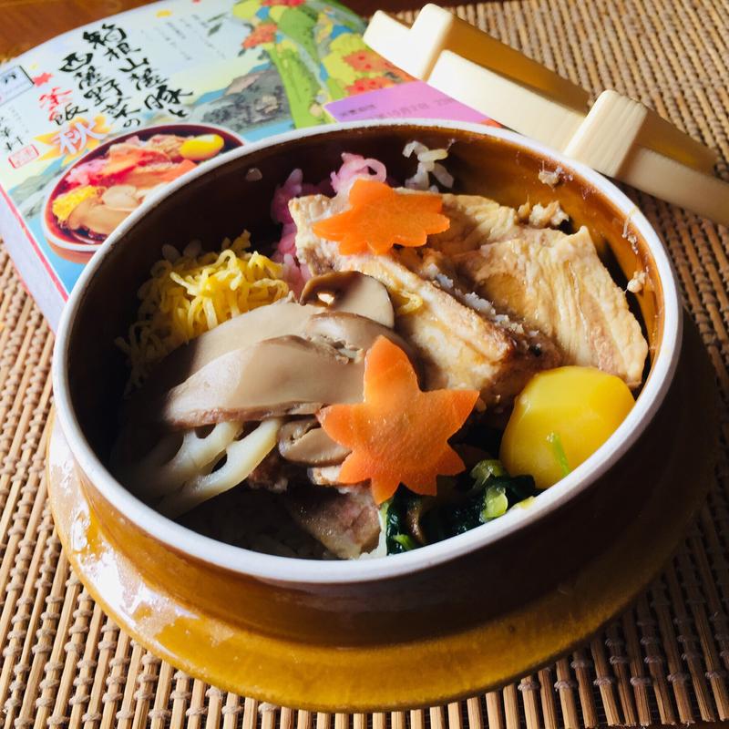 箱根山麓豚と西麓野菜の釜飯 (東華軒 小田原駅東口売店)