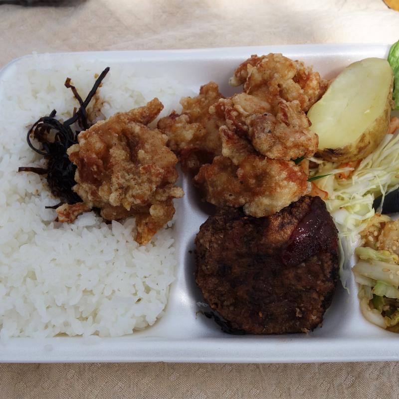 から揚げ弁当(すしハウス)