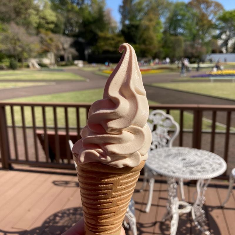 味噌ソフトクリーム(武蔵野うどん あらい)