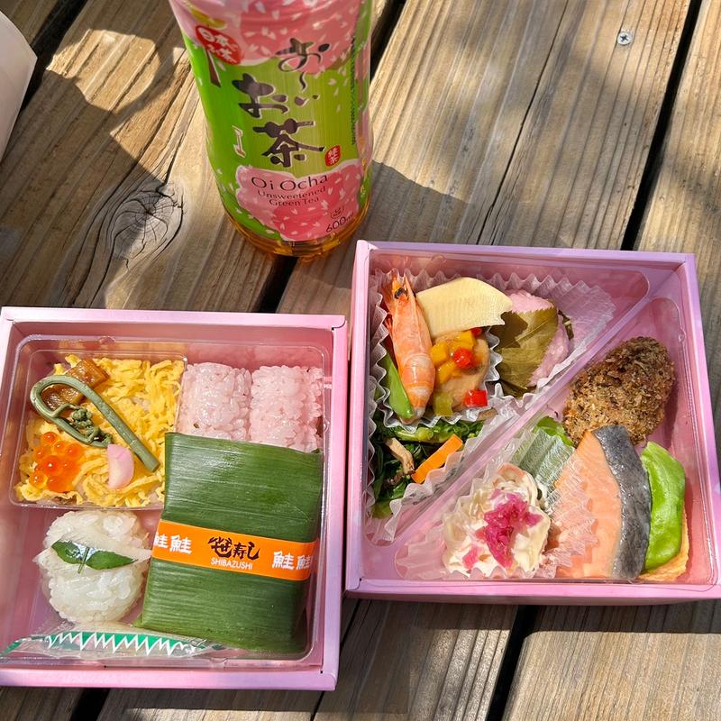 さくら日和(芝寿し )