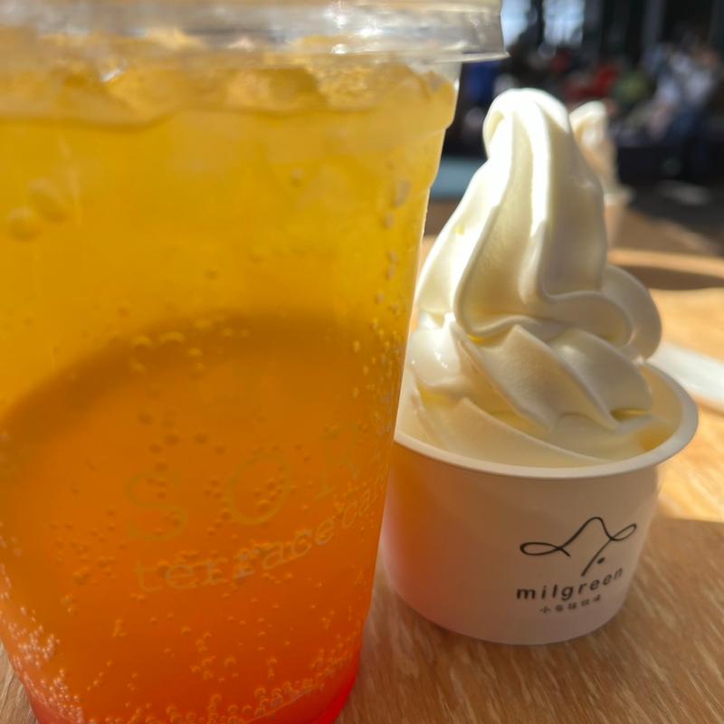 (竜王スキーパークSORA terrace cafe)