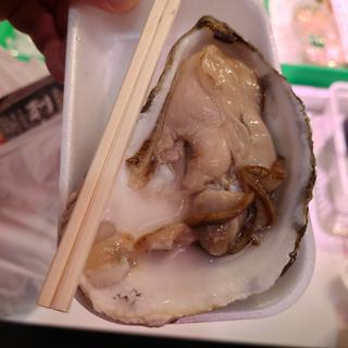 生牡蠣(近江町市場)