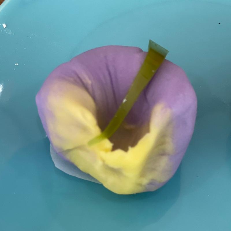 上生菓子(ONSO COFFEE)