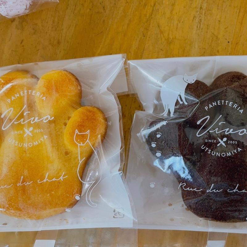 猫の通り道(パネッテリア・ヴィヴォ （Panetteria Vivo）)