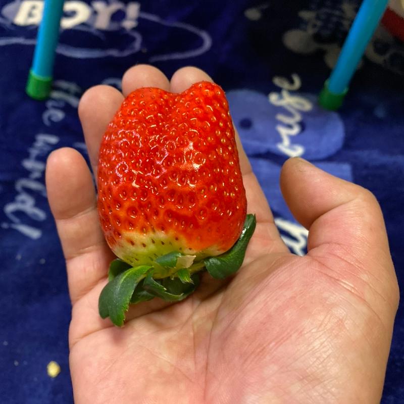 スカイベリー(道の駅 みかも)